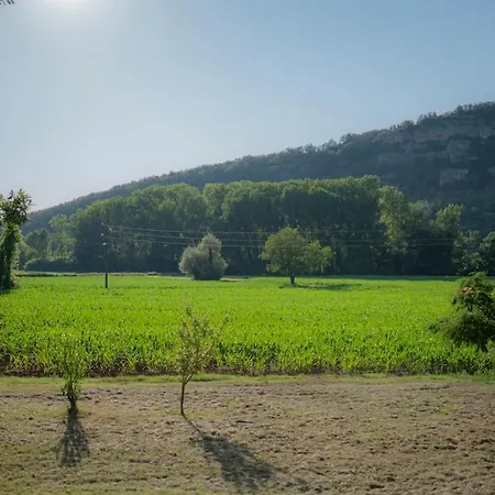 Authentique Maison Quercynoise A 4 Kms De St Cirq Lapopie Feriehus Cenevieres